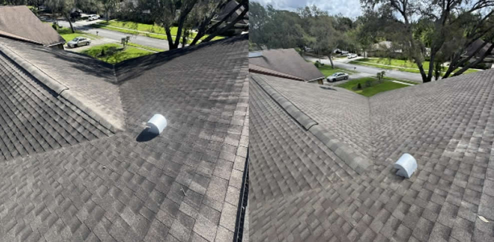 LaborGuysRoof