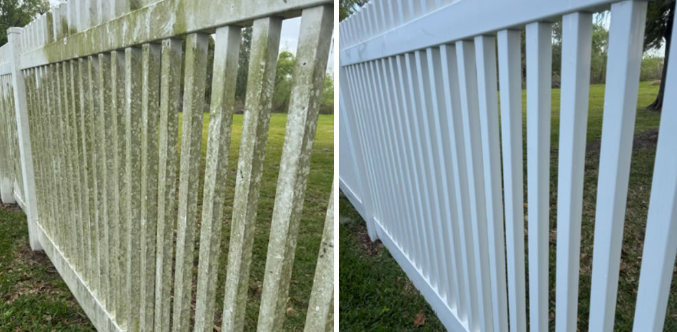 Fence Pic Page